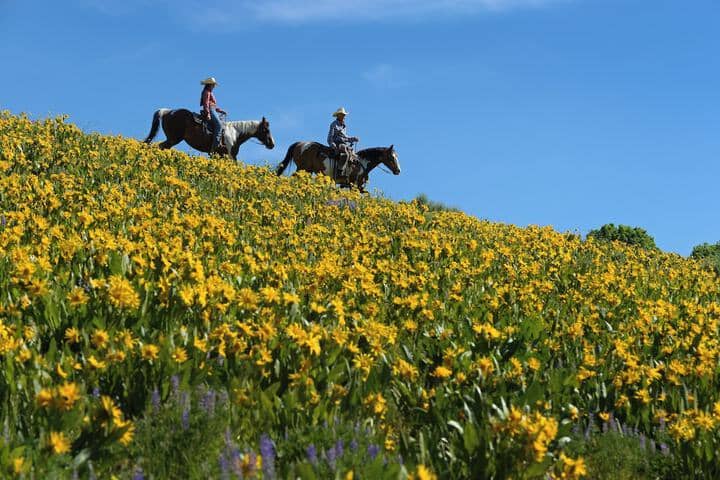 Horseback riding